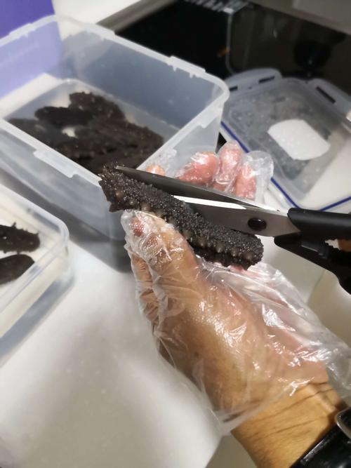生海参泡发的正确方法