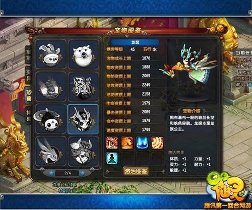 疯狂骑士团宠物连击用什么宠物