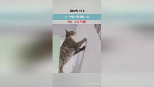 虎躯一震的意思
