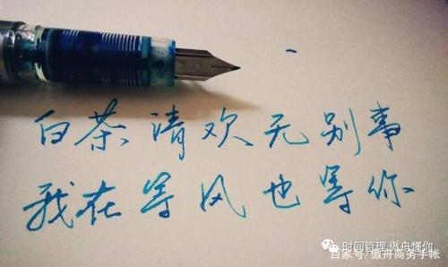 我陪你风花雪月下一句