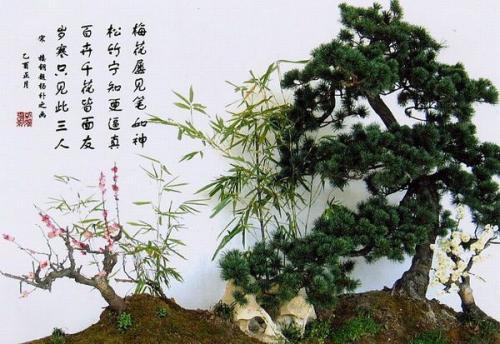 岁寒三友指的是谁