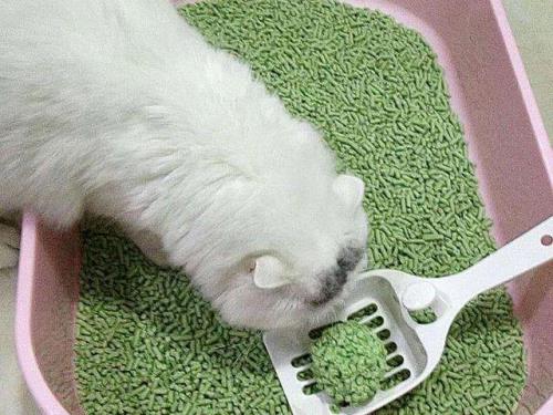蒙脱石散是猫砂吗