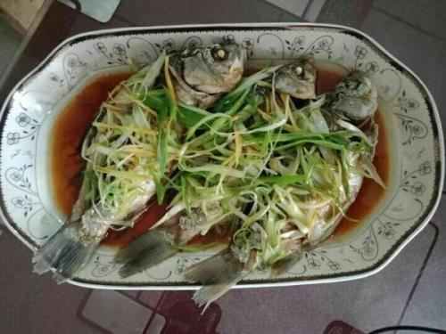 清蒸鲤鱼的正确做法王刚