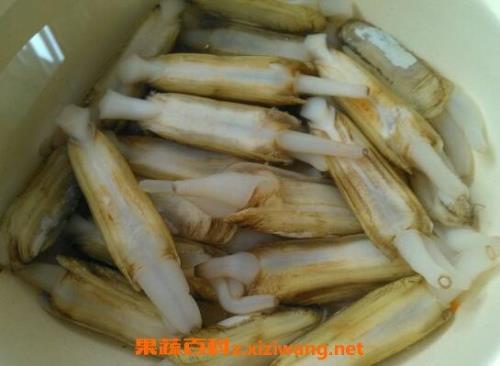 蛏子的营养价值
