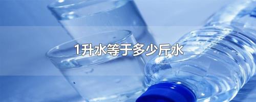 一升水多少斤