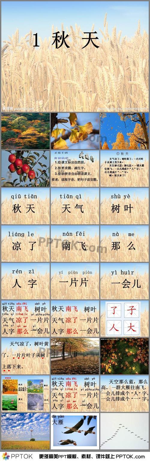 树叶全变黄了照样子写句子