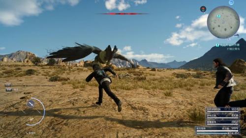 贝努鸟是什么鸟