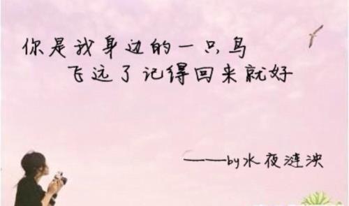 回来就好了吧是什么意思啊