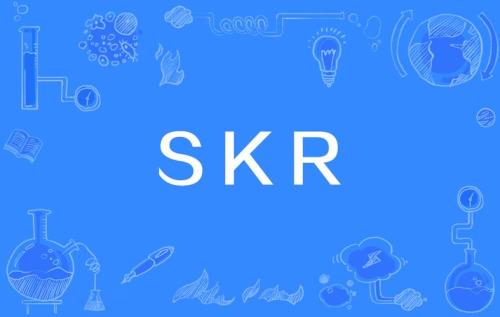 SKR是什么意思