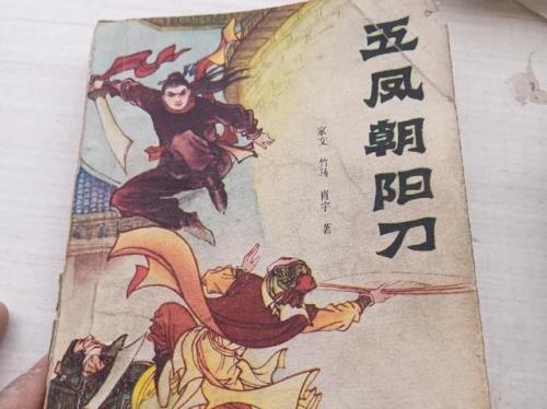 下笔如挥刀的小说
