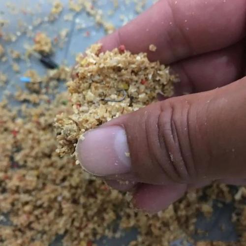 鲫鱼散炮上饵手法