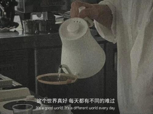 一路颠簸流离的文案