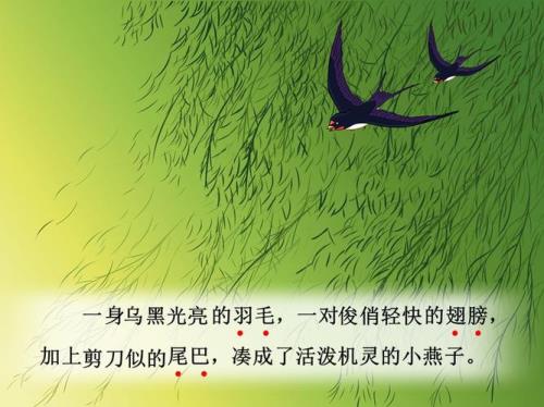 燕子最后一个自然段说明什么