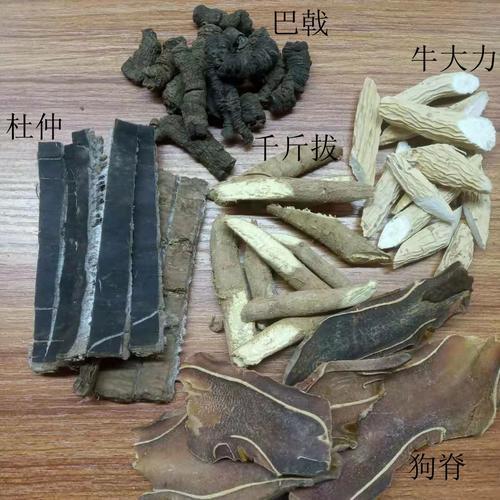 金丝杜仲没有金丝吗
