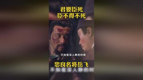 莫须有罪名是什么意思