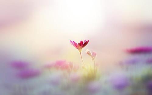 人生短暂生命脆弱的句子