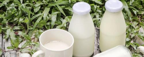 酸奶冬天放车里怕冻吗