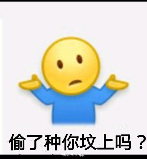 别人说我盗他表情包怎么回复