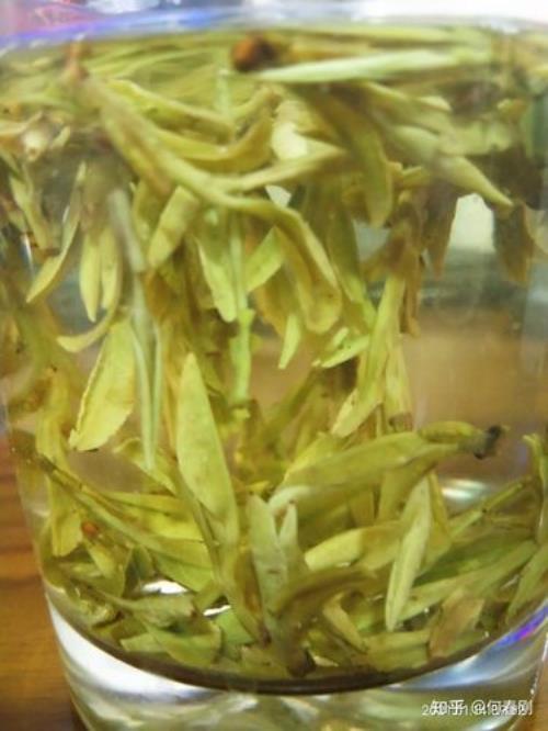 茶叶掉水里了还有救吗