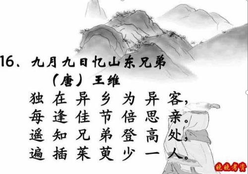 忆山东兄弟唐王维古诗
