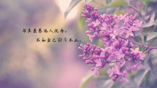 致自己的说说一段话