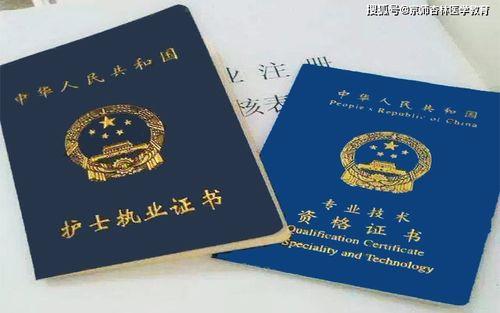 护师资格证书名称怎么填写