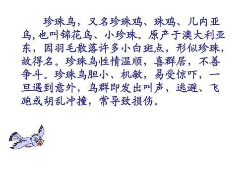 珍珠鸟公母叫声