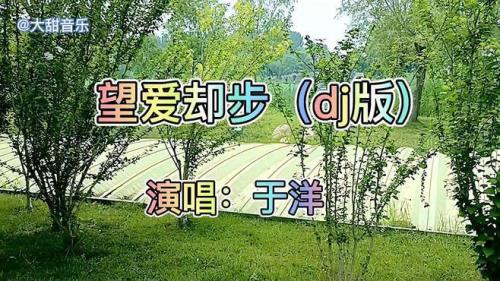 dj望爱却步原唱完整版