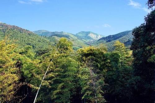 东明山森林公园那边有山泉水吗