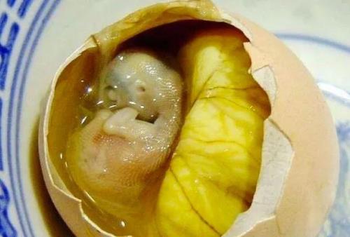 活珠子是什么意思
