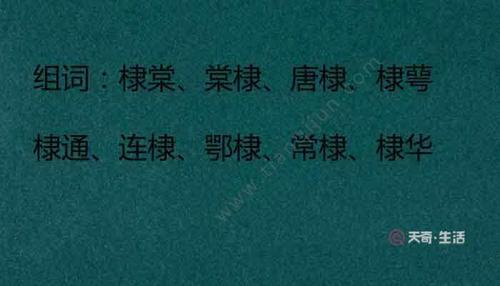 一个木和石读什么字
