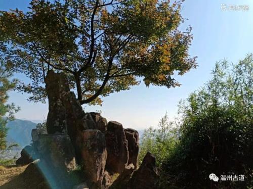 钟灵毓秀什么意思