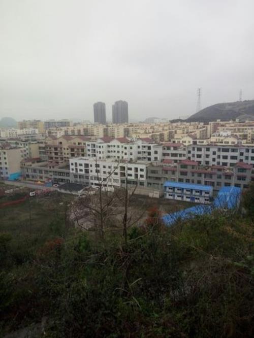 安顺市十强镇排名