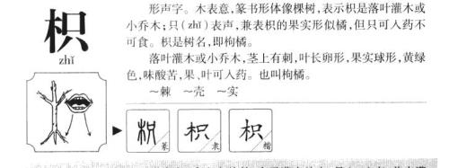 枳的意思及寓意