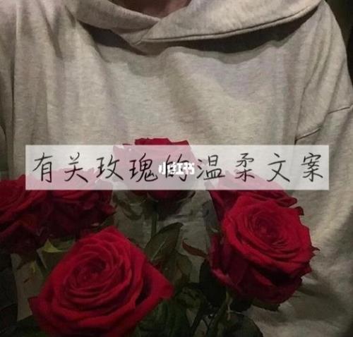玫瑰文案干净治愈