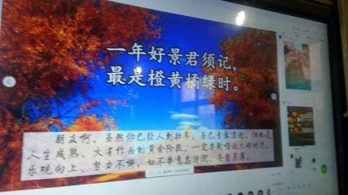 议景是什么意思啊