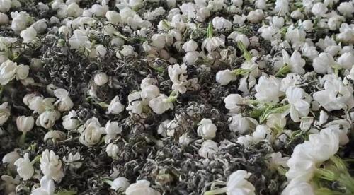 茶窨是什么意思
