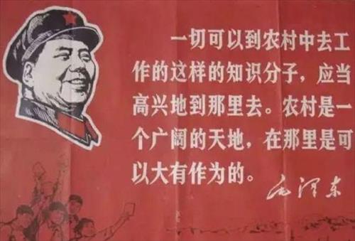 知识青年上山下乡是正确的吗