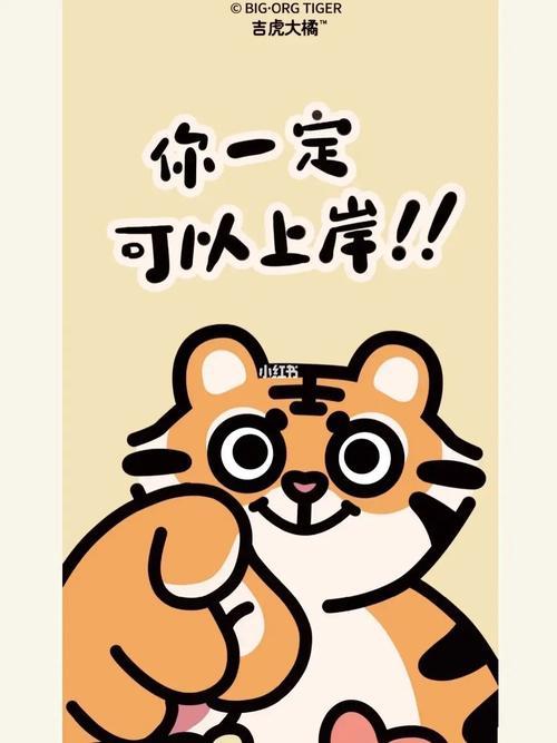 上岸是什么意思