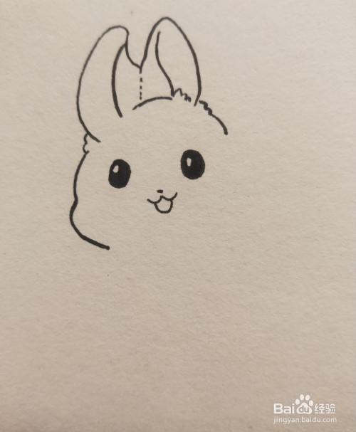 兔子如何画