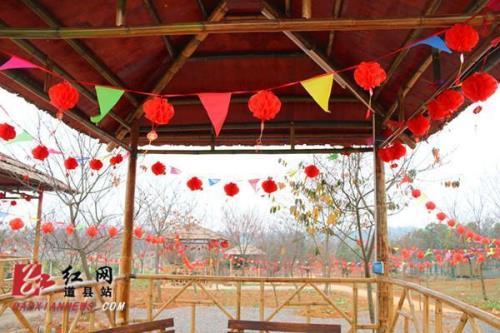道县樱花庄园门票多少