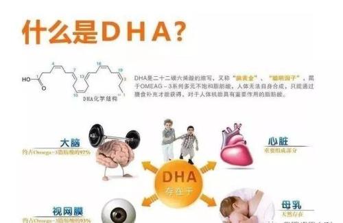 什么是DHA啊