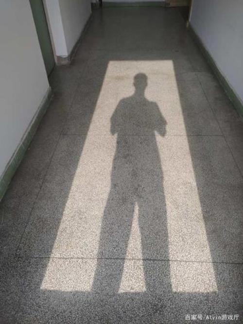 影子像什么