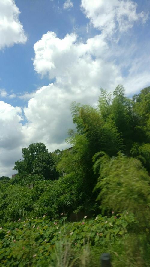 太阳白云大山树木写一段话