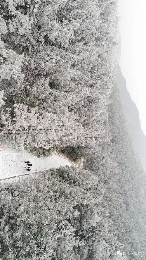 福建泉州会下雪吗