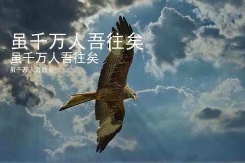 叶虽无意逐鹿什么意思