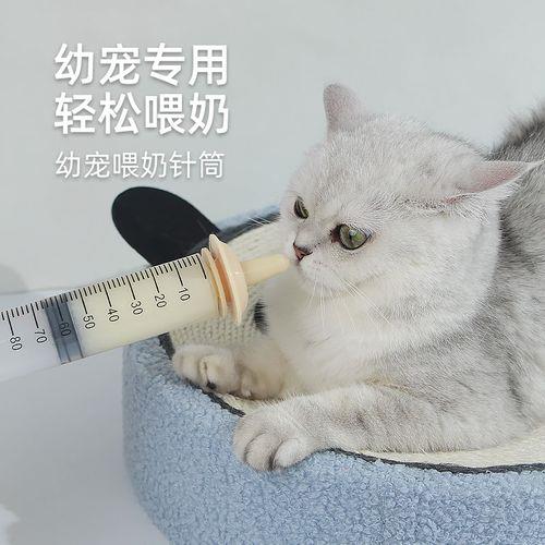 幼猫喂水有必要定时定量吗