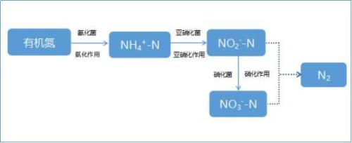 硝态氮的好处和坏处