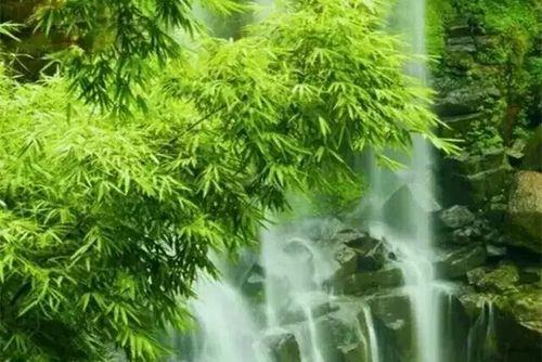 人生静好七绝