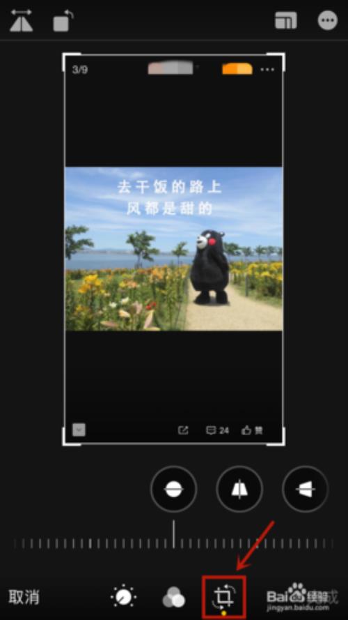 苹果手机相册可以剪视频吗